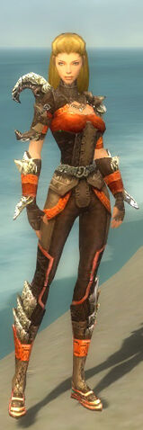File:Ranger Asuran Armor F dyed front.jpg