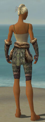 File:Warrior Charr Hide Armor F gray arms legs back.jpg