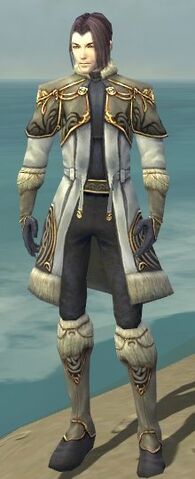 File:Elementalist Norn Armor M gray front.jpg