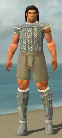 File:Warrior Ascalon Armor M gray chest feet front.jpg
