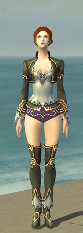 File:Mesmer Monument Armor F gray chest feet front.jpg