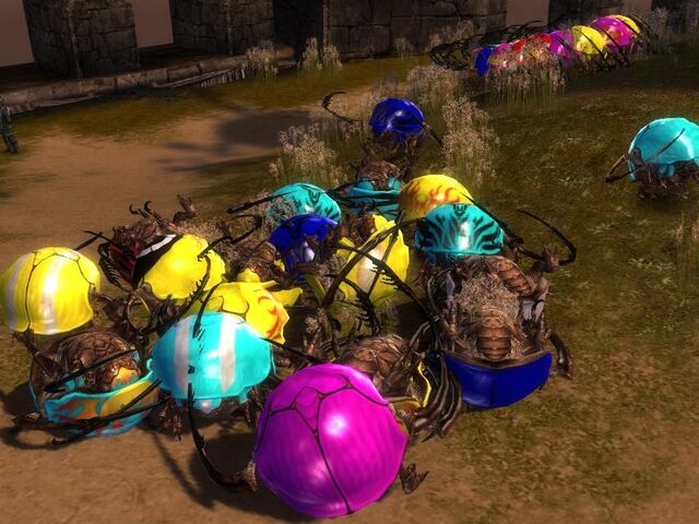 File:Rollerbeetleracing.jpg