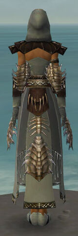 File:Dervish Primeval Armor F gray back.jpg