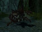Thorn Beetle Queen
