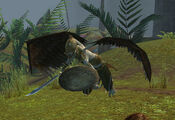 Harpy Mother