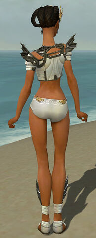File:Paragon Ancient Armor F gray chest feet back.jpg
