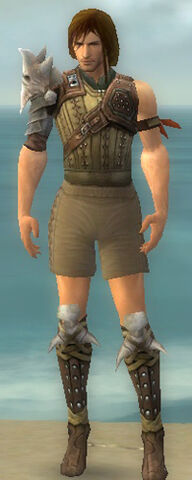 File:Ranger Studded Leather Armor M gray chest feet front.jpg