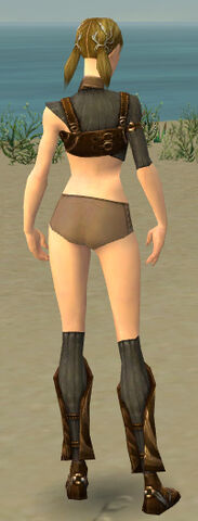 File:Ranger Sunspear Armor F gray chest feet back.jpg