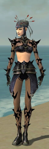File:Necromancer Obsidian Armor F gray front.jpg