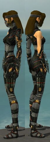 File:Assassin Elite Kurzick Armor F gray side.jpg