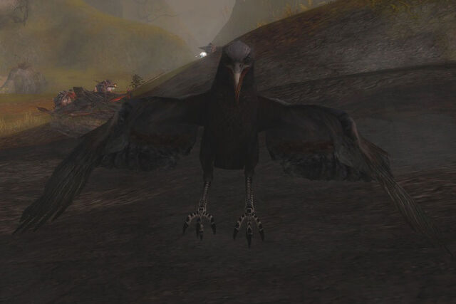 File:Carrion Feeder 2.jpg