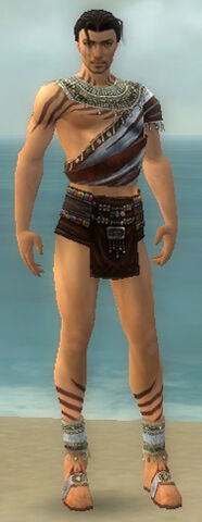 File:Ritualist Exotic Armor M gray chest feet front.jpg