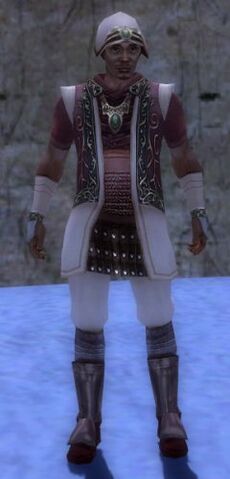 File:Wintersday Hat Giver.jpg