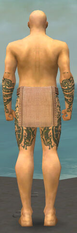 File:Monk Dragon Armor M gray arms legs back.jpg