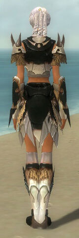File:Paragon Norn Armor F dyed back.jpg