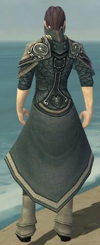 File:Elementalist Asuran Armor M gray chest feet back.jpg