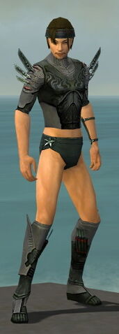 File:Assassin Imperial Armor M gray chest feet front.jpg
