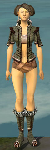 File:Monk Kurzick Armor F gray chest feet front.jpg