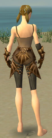 File:Ranger Sunspear Armor F gray arms legs back.jpg
