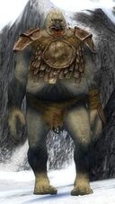 Gruut Snowfoot