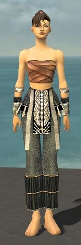 File:Monk Elite Sunspear Armor F gray arms legs front.jpg