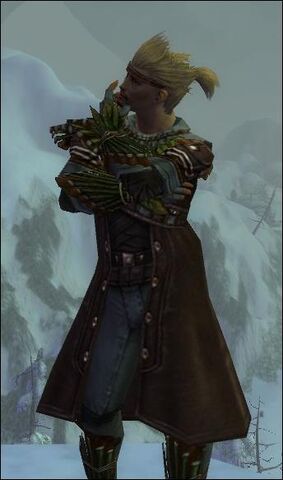 File:OdinHunter.jpg