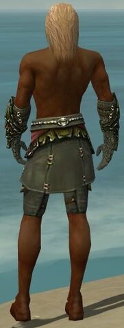 File:Ranger Elite Luxon Armor M gray arms legs back.jpg