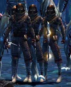 Outcast Reaver