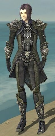 File:Elementalist Elite Stoneforged Armor M gray front.jpg