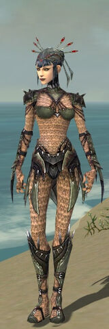 File:Necromancer Elite Cabal Armor F gray front.jpg