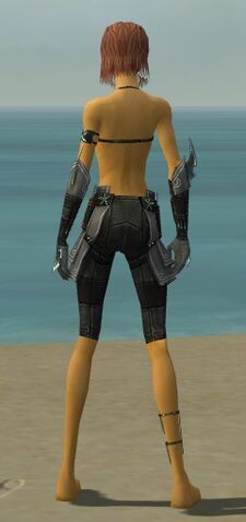 File:Assassin Luxon Armor F gray arms legs back.jpg