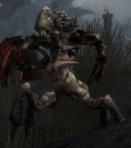 File:Rain of Terror.jpg