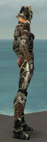 File:Warrior Elite Kurzick Armor F gray side.jpg