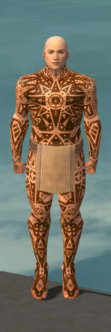 File:Monk Star Armor M dyed front.jpg