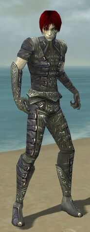 File:Necromancer Ascalon Armor M gray front.jpg