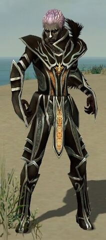 File:Necromancer Elite Sunspear Armor M gray front.jpg