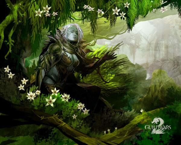 File:GuildWars2-05-1280x1024.jpg