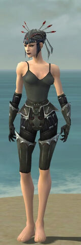 File:Necromancer Tyrian Armor F gray arms legs front.jpg