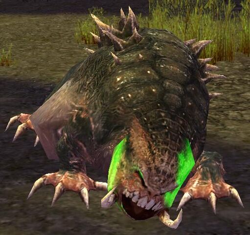 File:Rot Foulbelly.jpg