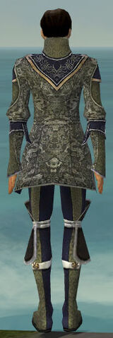 File:Elementalist Canthan Armor M gray back.jpg
