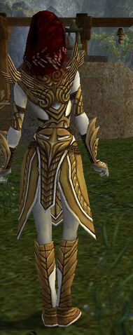 File:Hayda Armor Deldrimor Back.jpg
