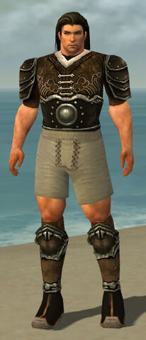 File:Warrior Shing Jea Armor M gray chest feet back.jpg