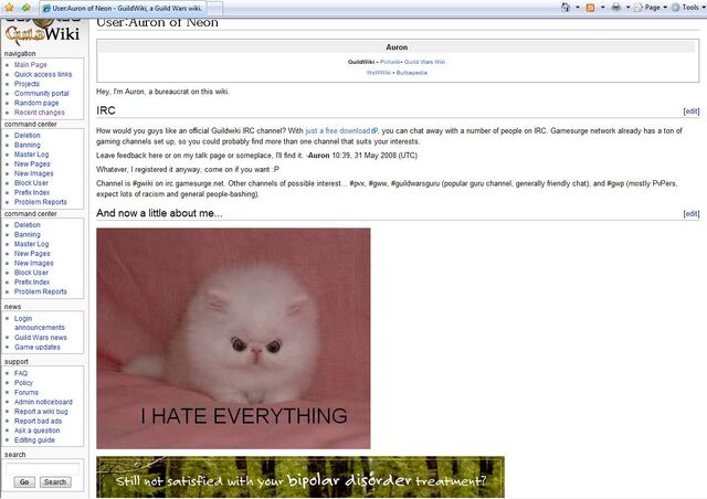 File:Perfect advertisement.jpg