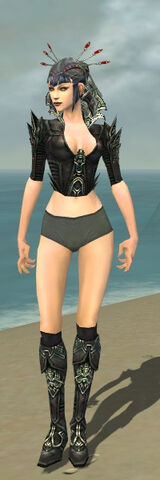 File:Necromancer Monument Armor F gray chest feet front.jpg