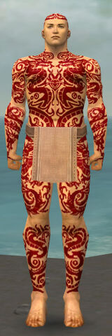 File:Monk Dragon Armor M dyed front.jpg