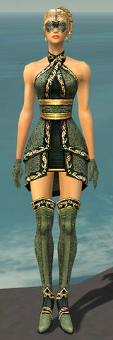 File:Mesmer Shing Jea Armor F gray front.jpg