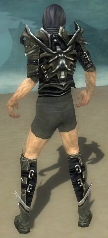 File:Necromancer Elite Profane Armor M gray chest feet back.jpg