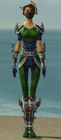 File:Assassin Norn Armor F dyed front.jpg