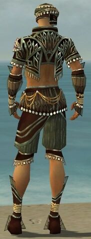 File:Ritualist Vabbian Armor M gray back.jpg