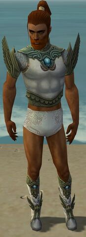 File:Paragon Monument Armor M gray chest feet front.jpg